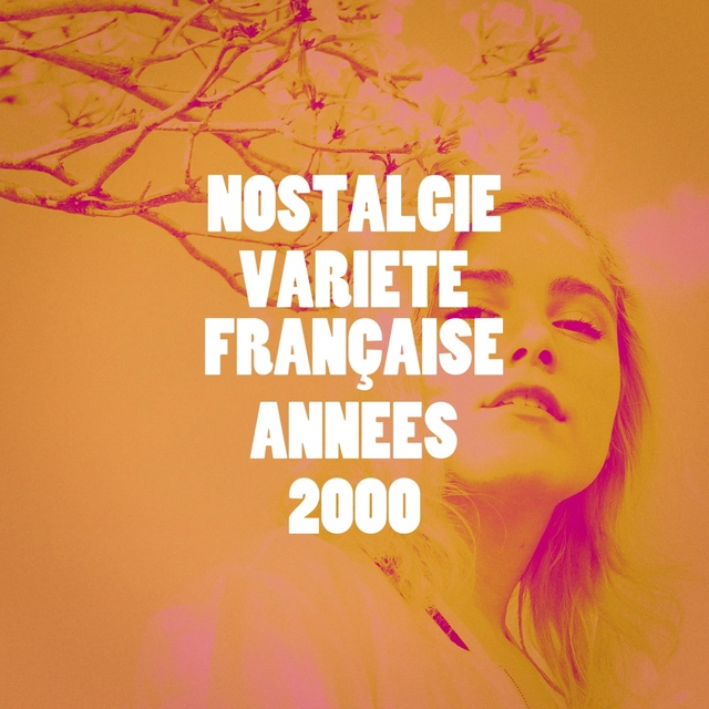 Couverture de Nostalgie variété française années 2000