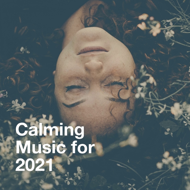 Couverture de Calming Music For 2021