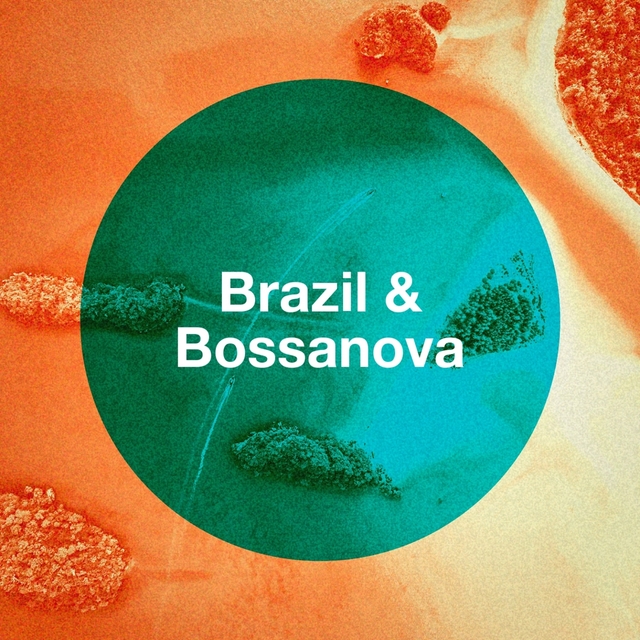 Couverture de Brazil & Bossanova