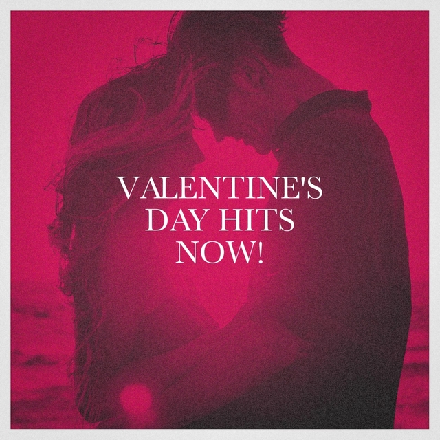 Couverture de Valentine's Day Hits Now!