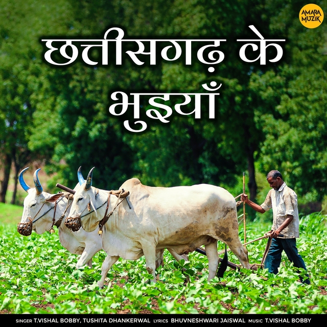 Couverture de Chhattisgarh Ke Bhuiya