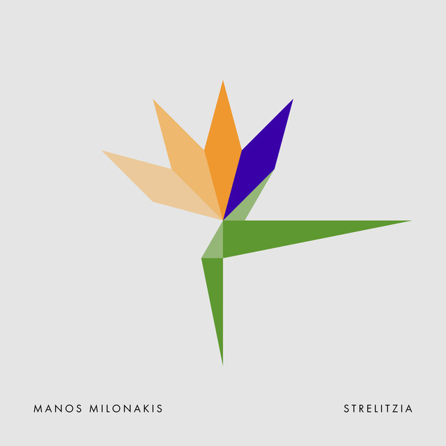 Strelitzia