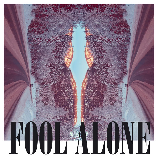 Couverture de Fool Alone