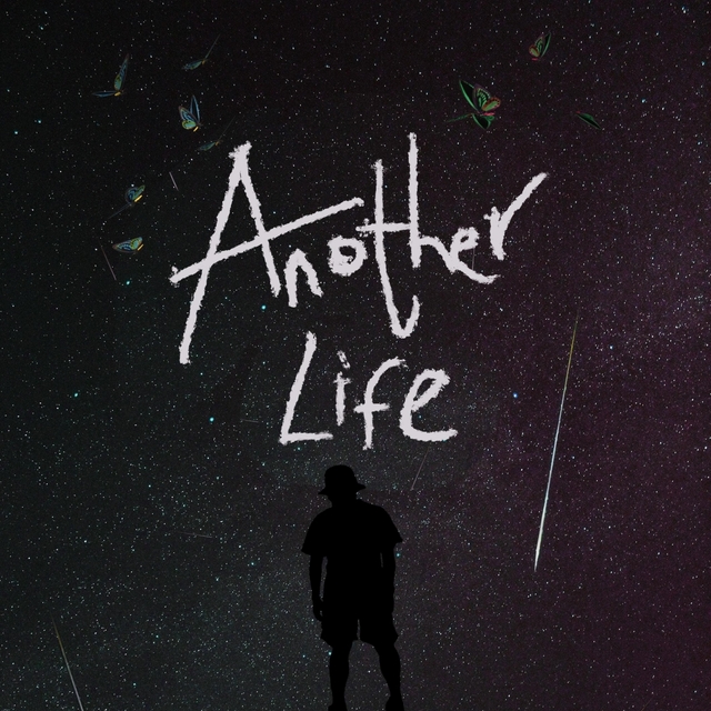 Another Life