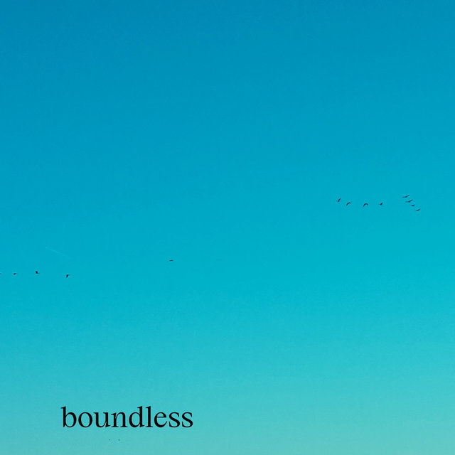 Couverture de Boundless