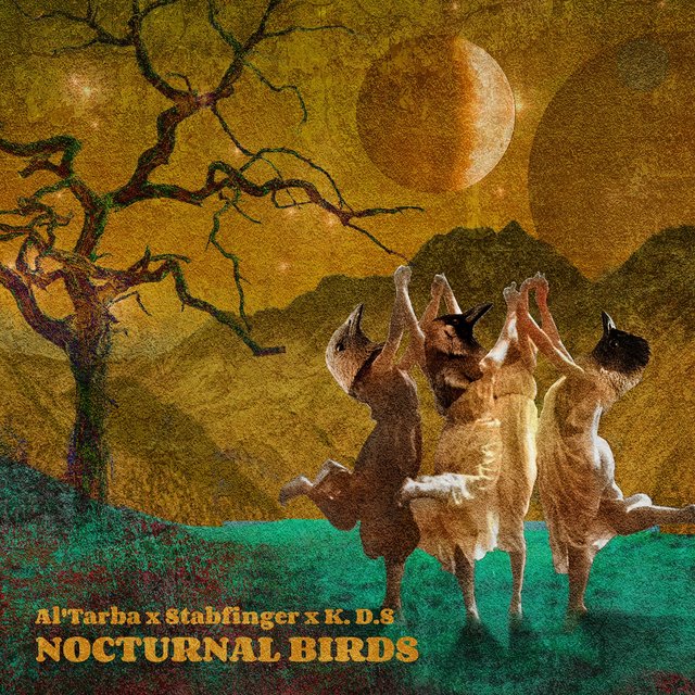 Nocturnal Birds