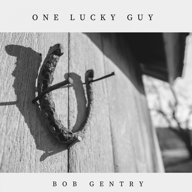 Couverture de One Lucky Guy