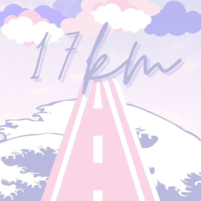 17km