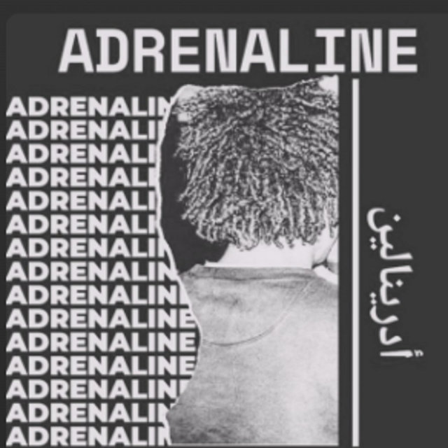 Couverture de Adrenaline