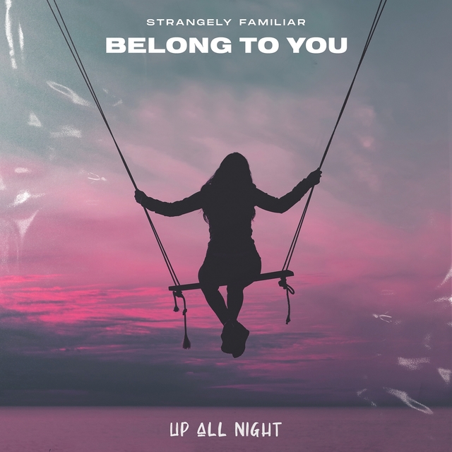 Couverture de Belong to You