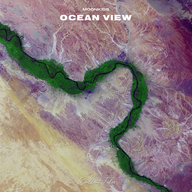 Couverture de Ocean View