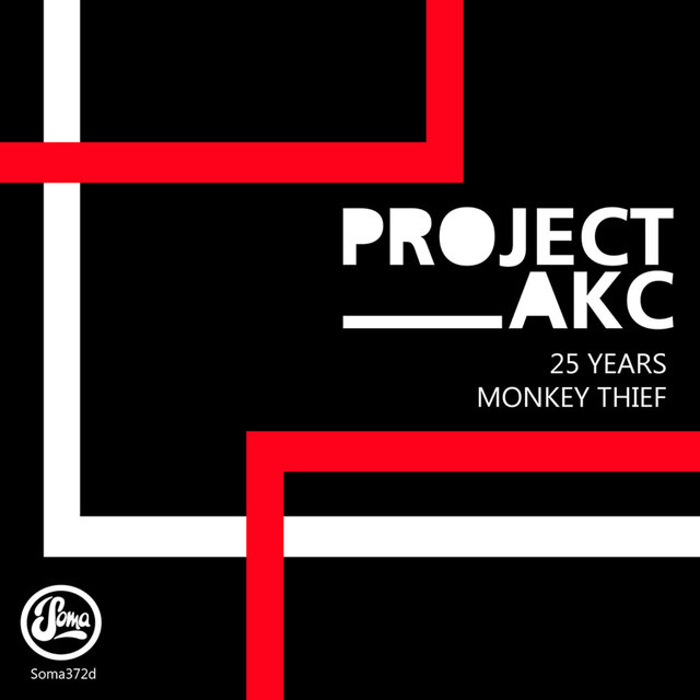 Couverture de 25 Years / Monkey Thief