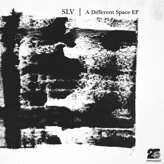 Couverture de A Different Space