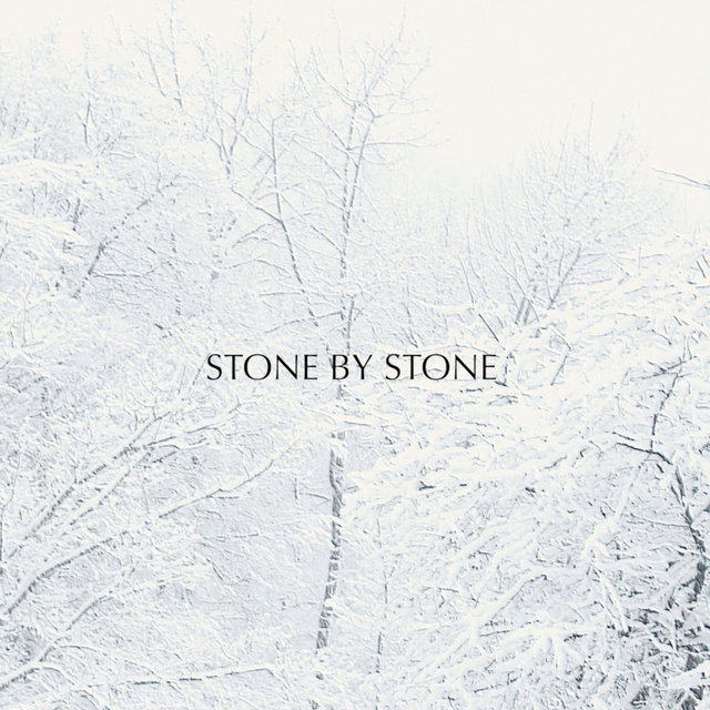 Couverture de Stone by Stone