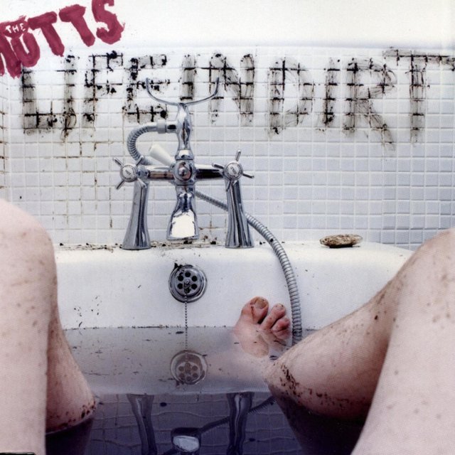 Couverture de Life in Dirt