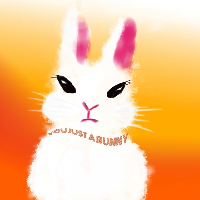 Couverture de YOU JUST A BUNNY