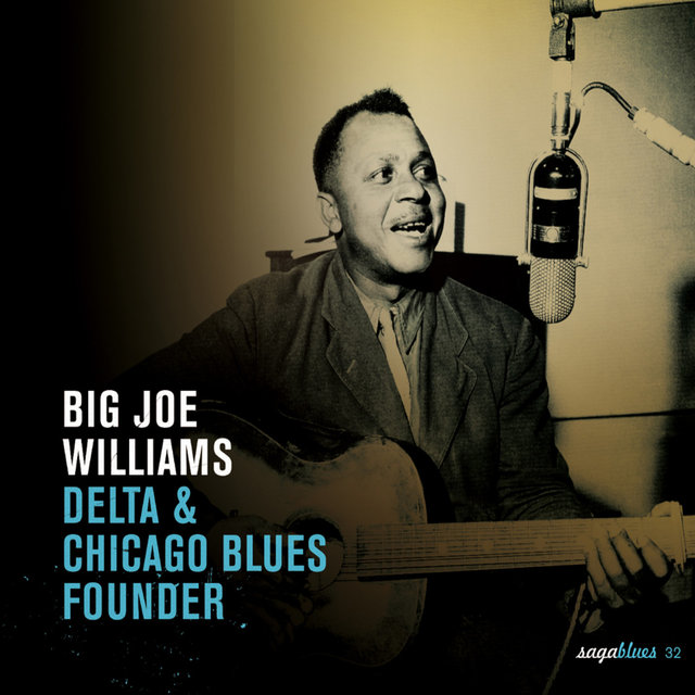 Couverture de Saga Blues: Delta & Chicago Blues Founder