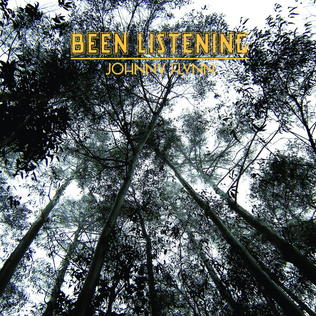 Couverture de Been Listening