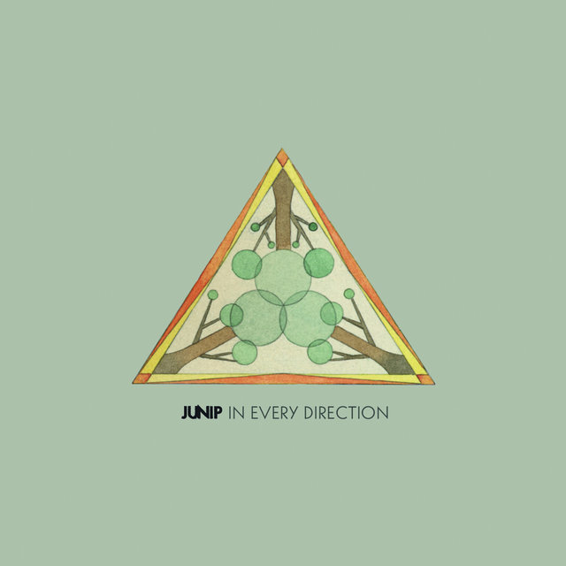 Couverture de In Every Direction