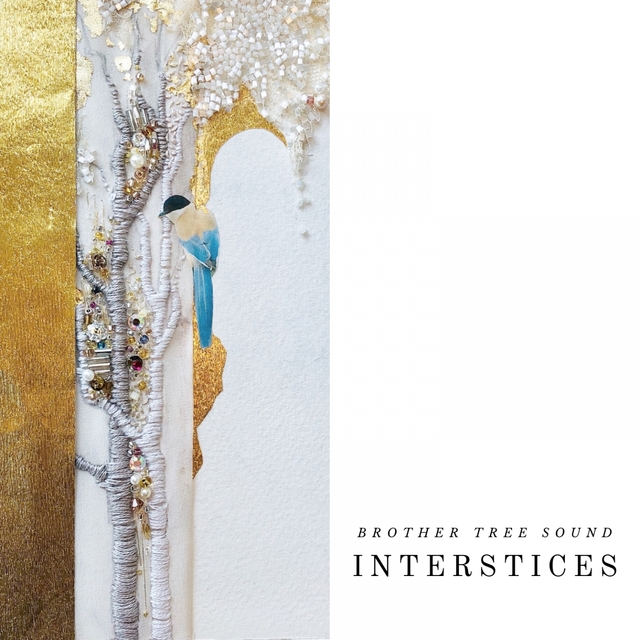 Couverture de Interstices