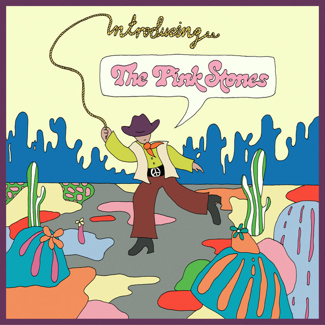 Couverture de Introducing… The Pink Stones