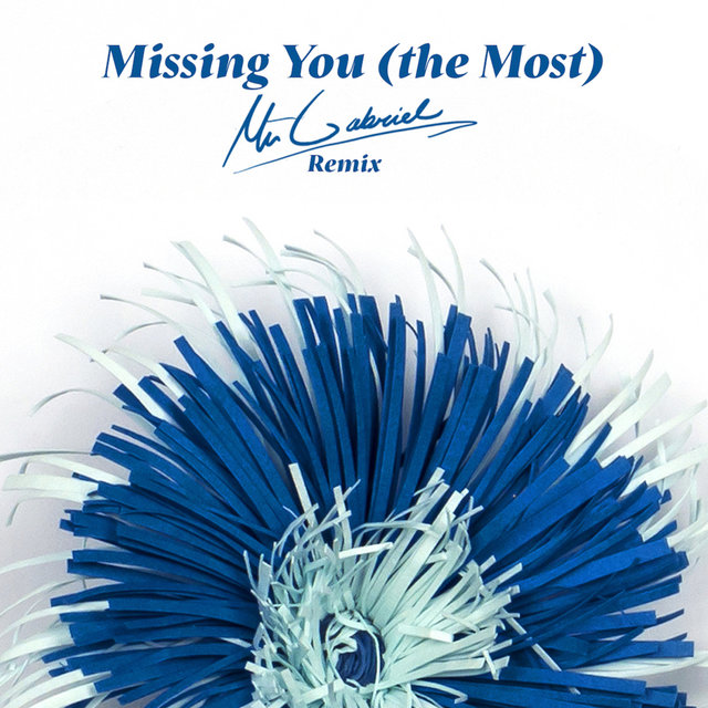 Couverture de Missing You (the Most)