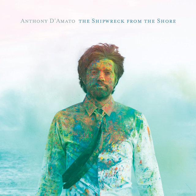 Couverture de The Shipwreck from the Shore