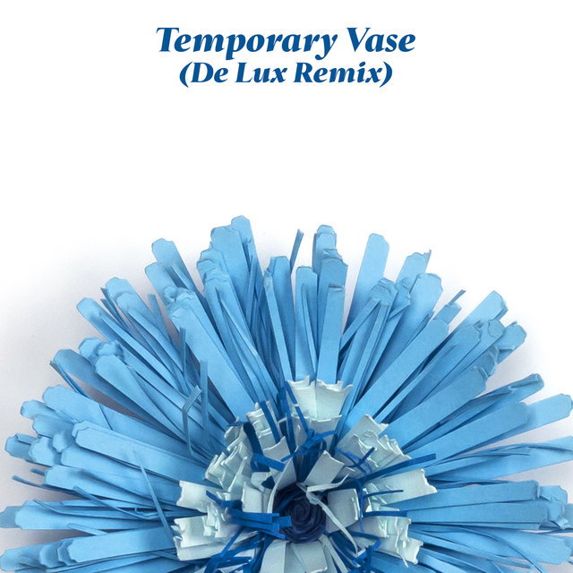 Couverture de Temporary Vase