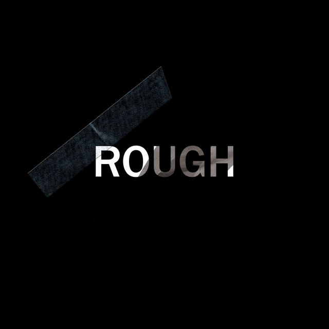 Couverture de Rough