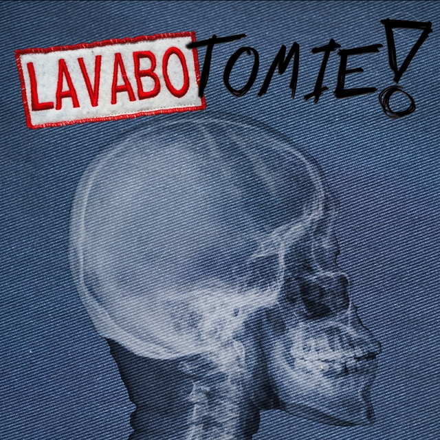 Couverture de Lavabotomie