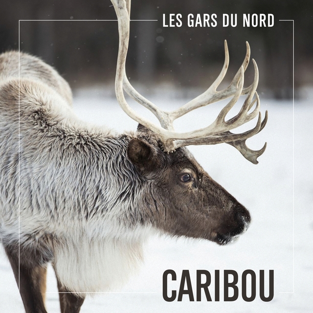 Couverture de Caribou