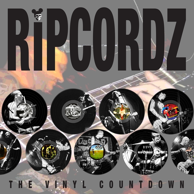 Couverture de The Vinyl Countdown