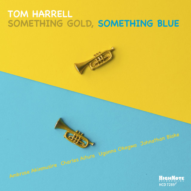 Couverture de Something Gold, Something Blue