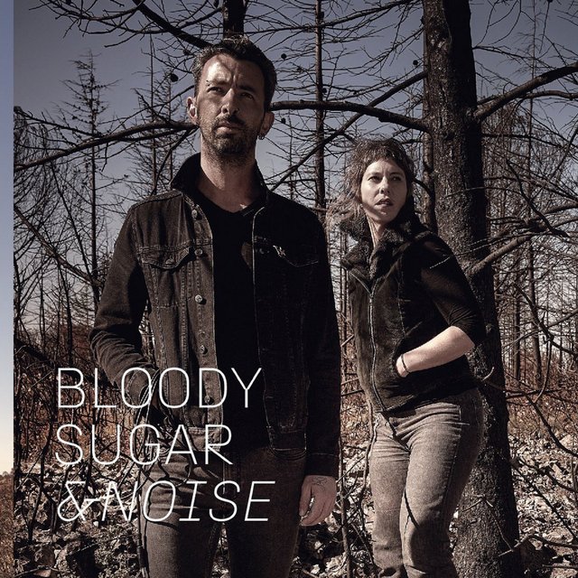 Couverture de Bloody Sugar & Noise