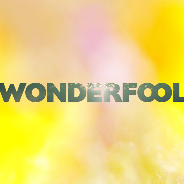 Wonderfool