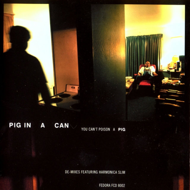 Couverture de You Can't Poison a Pig