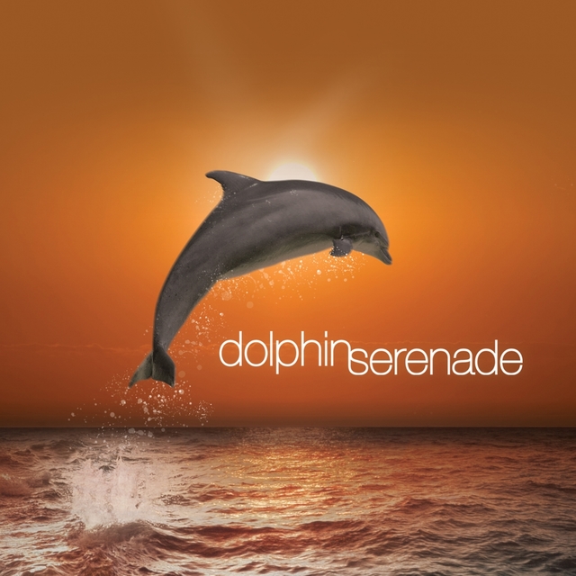 Dolphin Serenade