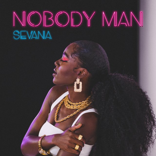 Couverture de Nobody Man