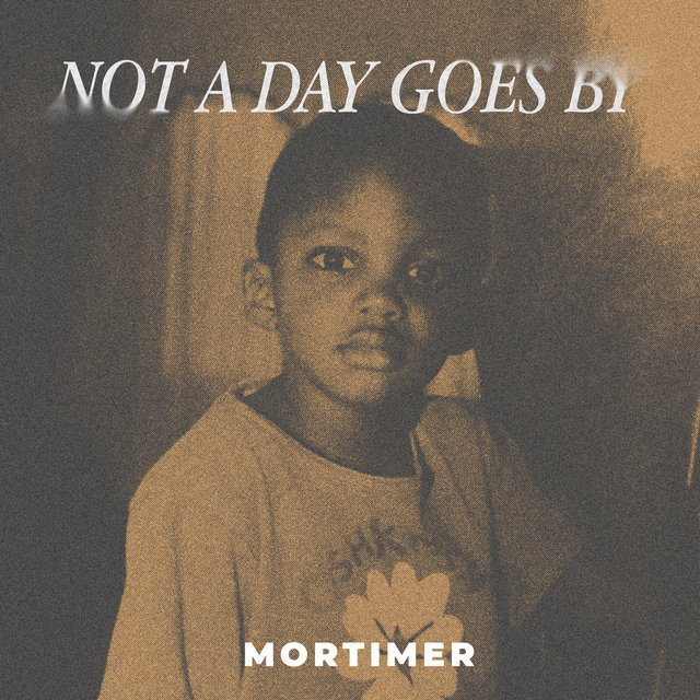 Couverture de Not a Day Goes By