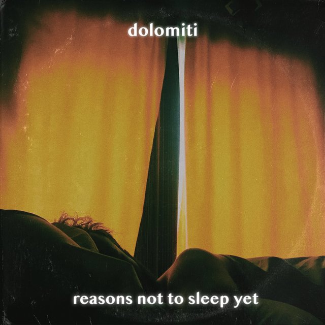 Couverture de reasons not to sleep yet