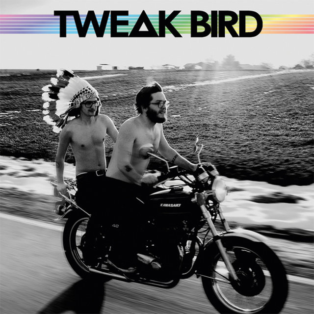 Tweak Bird