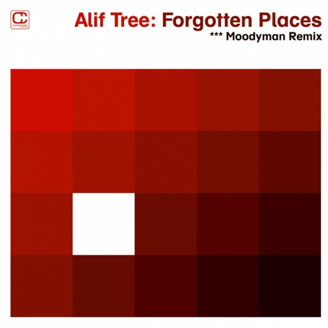 Forgotten Places (Moodymann Remix)