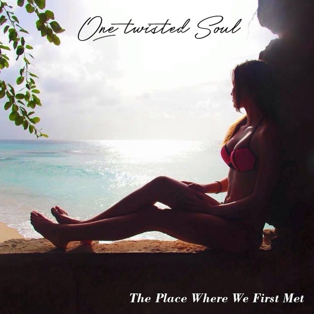 Couverture de The Place Where We First Met