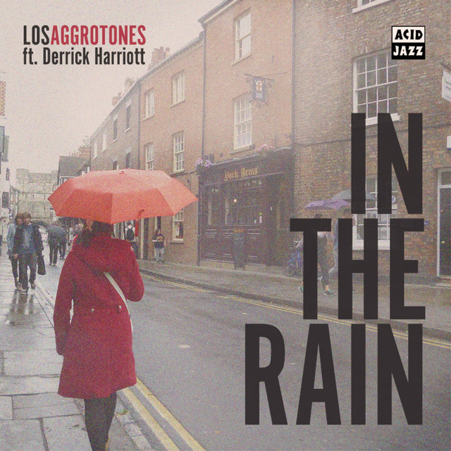 Couverture de In The Rain