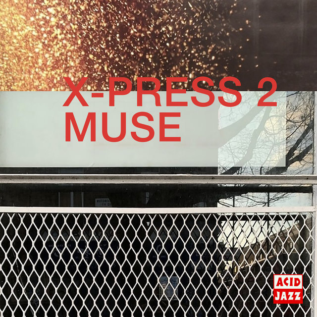 Couverture de Muse