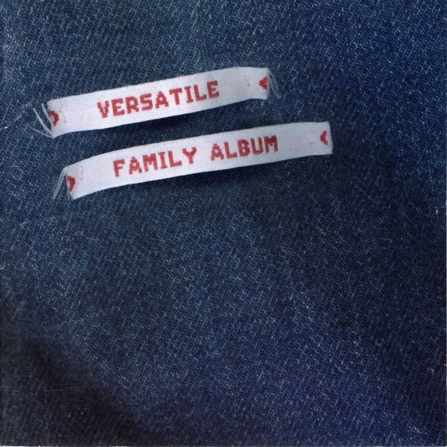 Couverture de Versatile Family Album