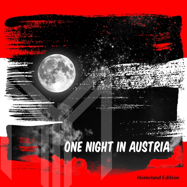 Couverture de One Night in Austria