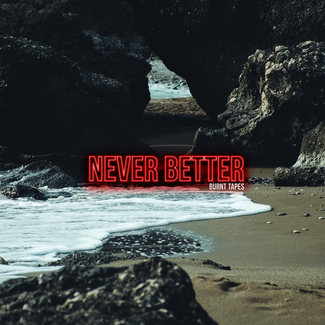 Couverture de Never Better