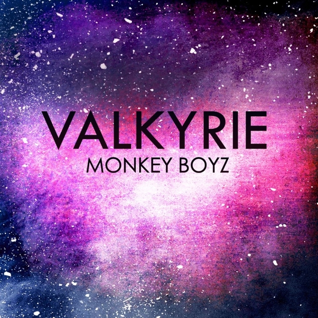 Couverture de Valkyrie