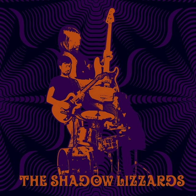 The Shadow Lizzards